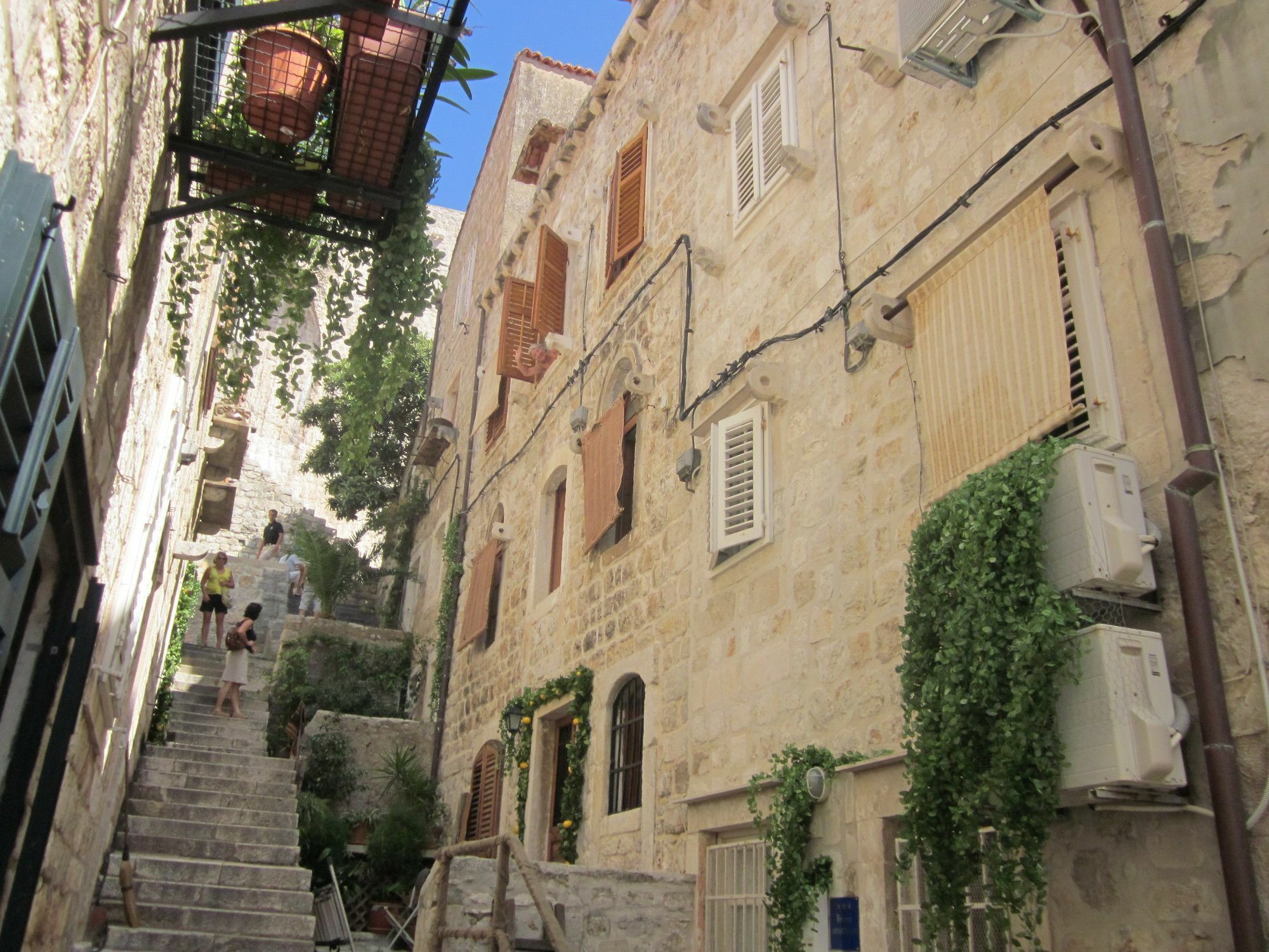 Angelina Old Town