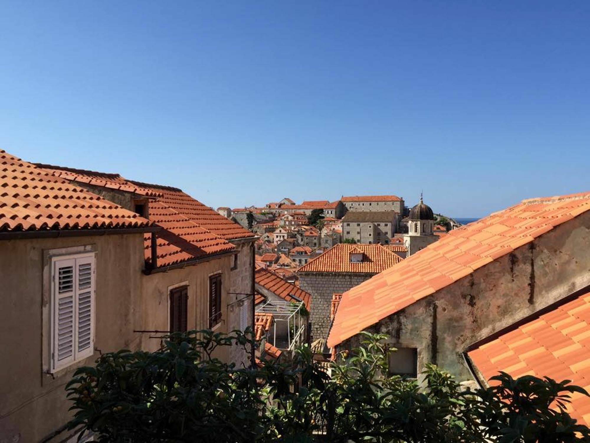 Angelina Old Town *